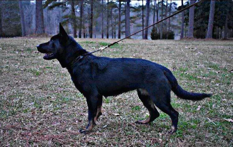 Jada Renea Von Rubin