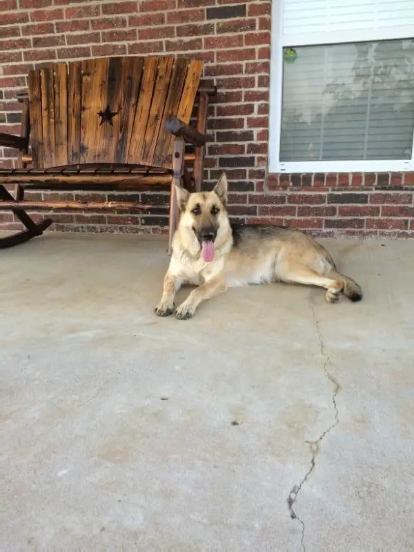 Emma Sweetheart Bales