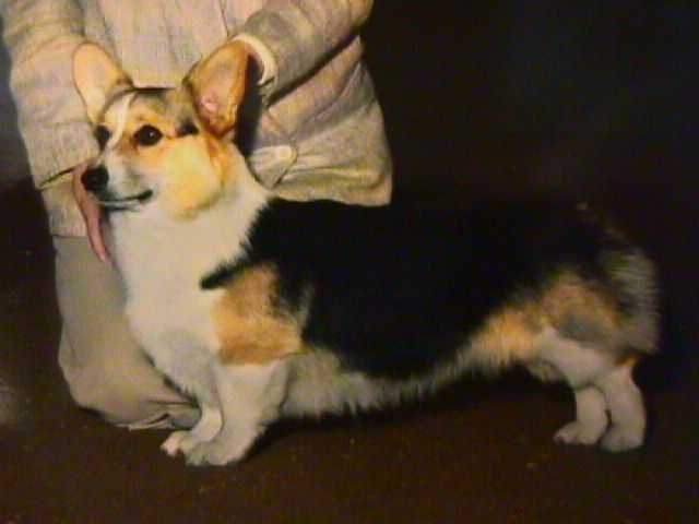 Colburn Society Page