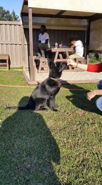 Hanabel of Hausbende