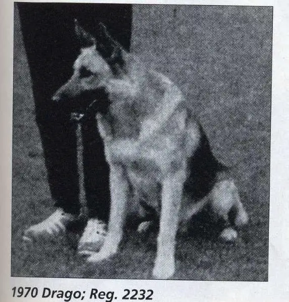 BSP Sieger 1970 Drago (Biehler)