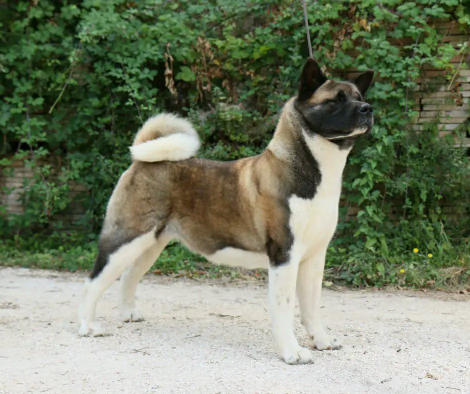 Ruthdales State Of Play