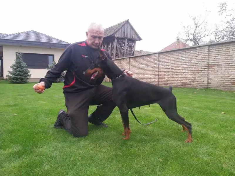 Boyana Orea Del Montegrappa