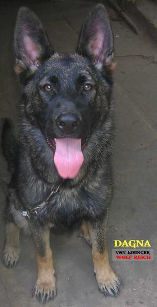 Dagna von Eisinger WolfReich