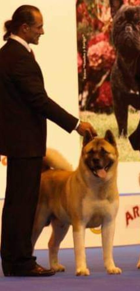 Kyodai Bishonem