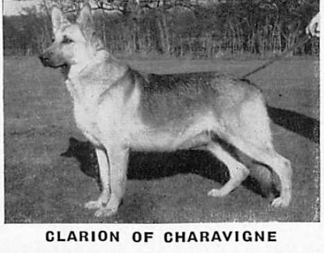 Clarion of Charavigne