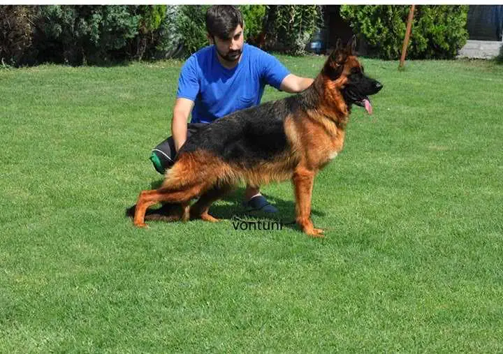 Tamara von der Kocaeli