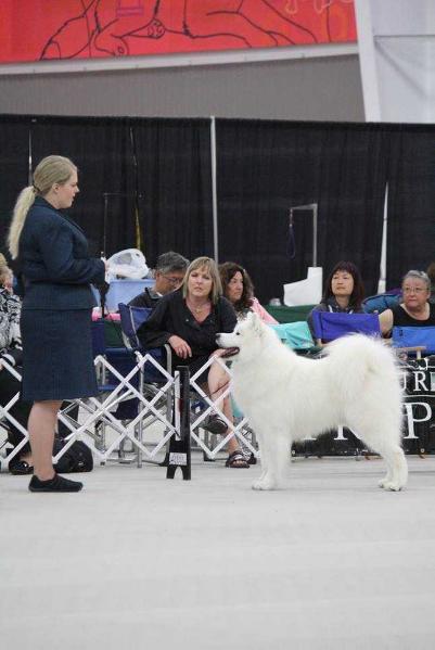 CH ArticCross n Bilrost Do The Snuffle Shuffle