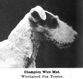 CH Wire Mat (c.1922)