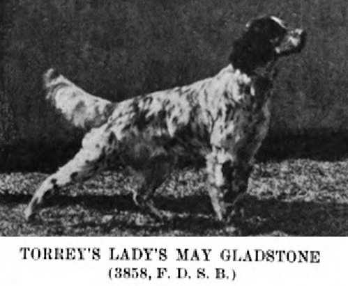 Torrey's Lady May Gladstone