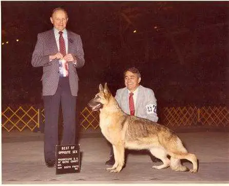 Ch (US) Lor-Locke's Solitaire of Sidri