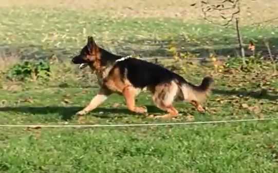 Bacco de la Madonina
