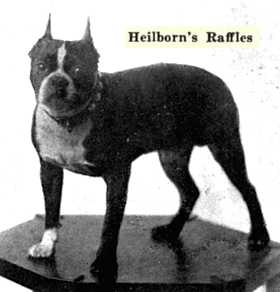 Heilborn's Raffles 91192 vXXII