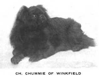 CH Chummie of Winkfield