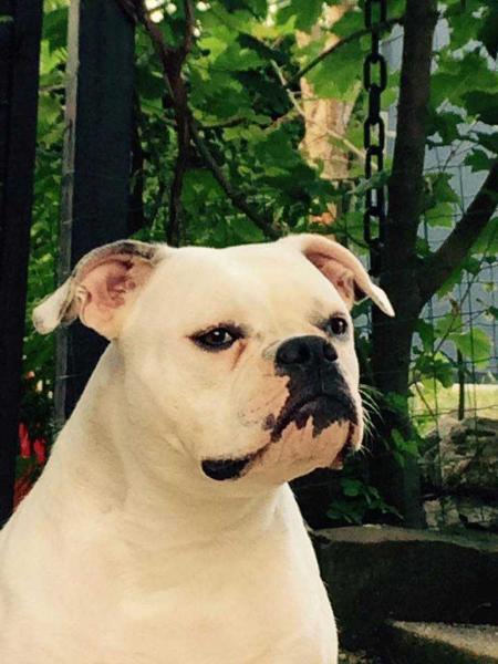 Southstar´s Too Funky