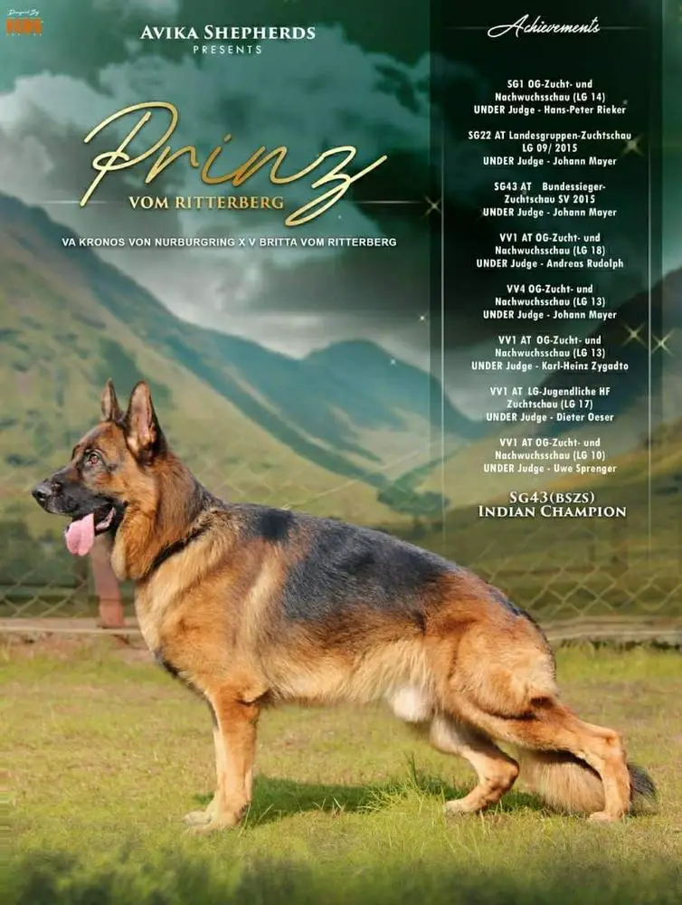 SG Prinz Vom Ritterberg