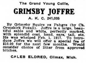 Grimsby Joffre (241035)