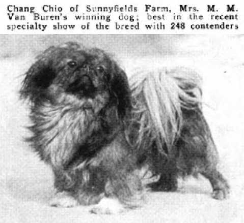 Chang Chio of Sunnyfields Farm 248195 vXXXV