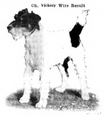 Vickery Wire Result (c.1912)
