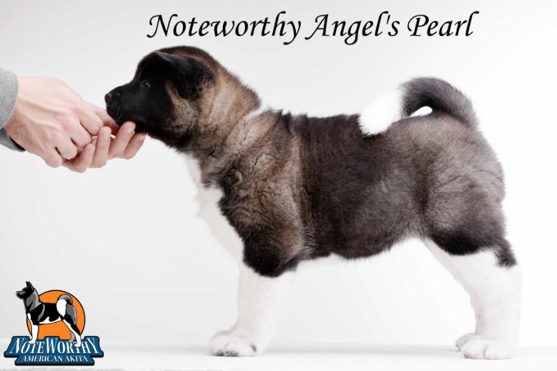 Noteworthy Angel's Pearl