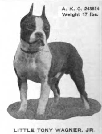 Little Tony Wagner Jr 243814 vXXXV