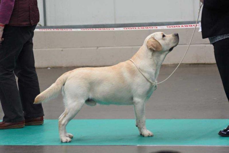 GB CH. Mattand Exodus