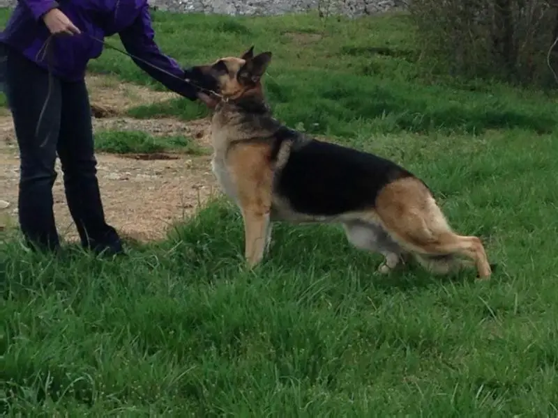 Sturdevant's Patience Were Back!!!