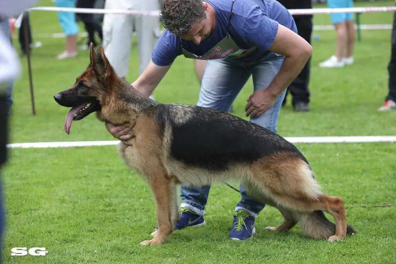 Estelle vom Winnloh