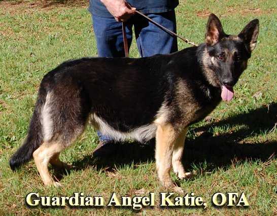 Guardian Angel Katie