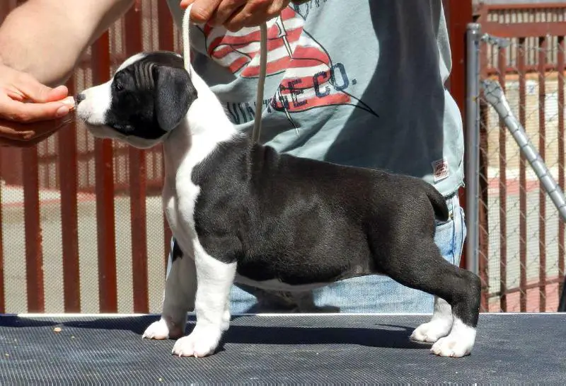 Maria&Raki's Casablanca