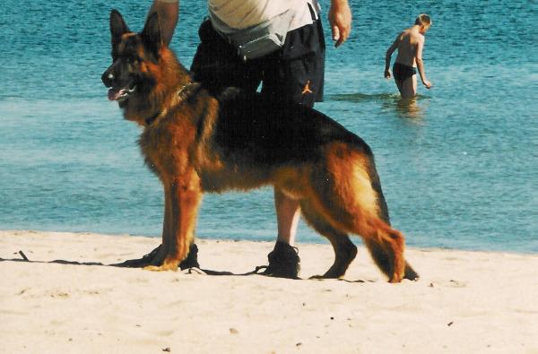 SG Ujpesti-Farkas Philip (1998)