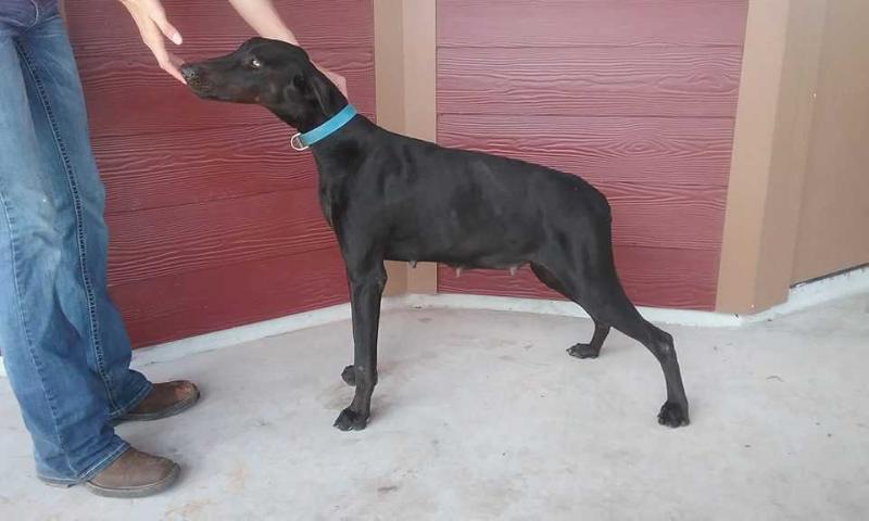 Nwr's goddess of the dark Delaney