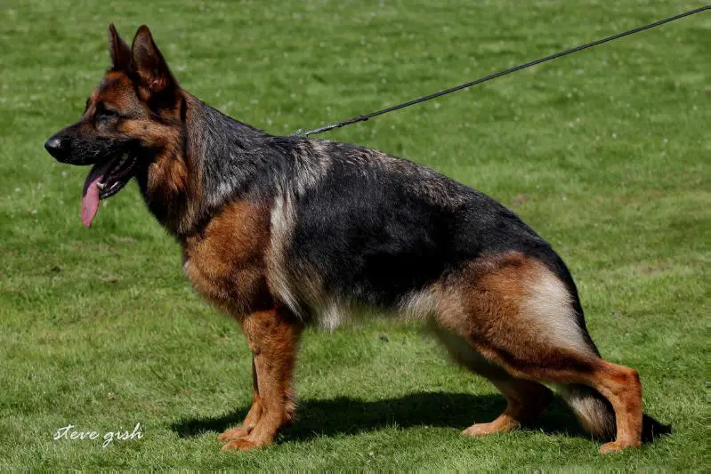 V1 Barca vom Zellwaldrand