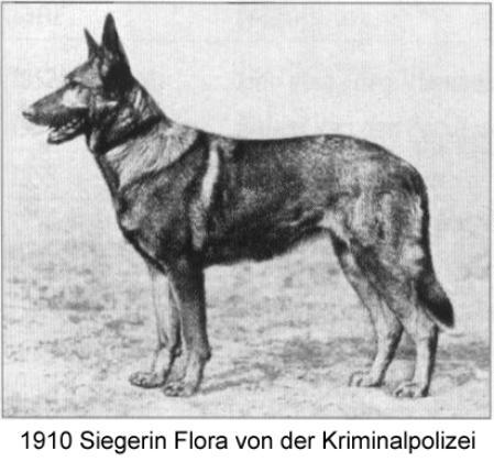 1910 SGRN Flora von der Kriminalpolizei