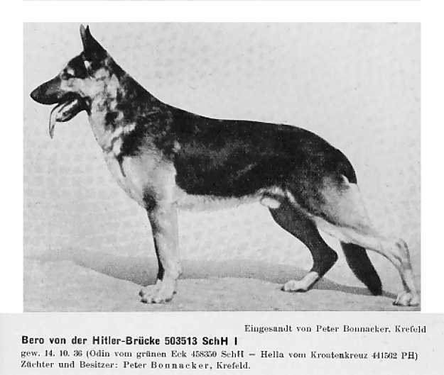 Bero von der Hitler-Brücke