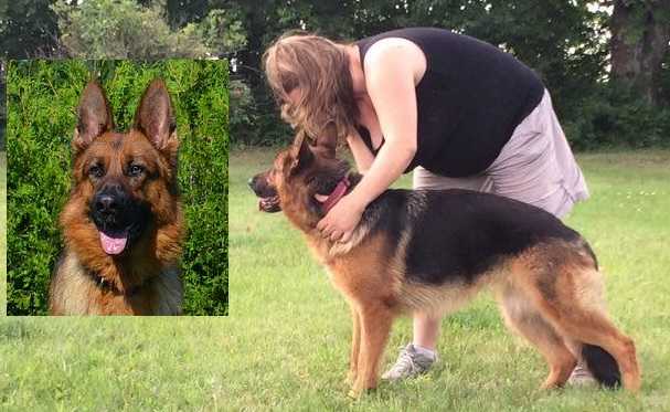 Phenix von Chamootzka