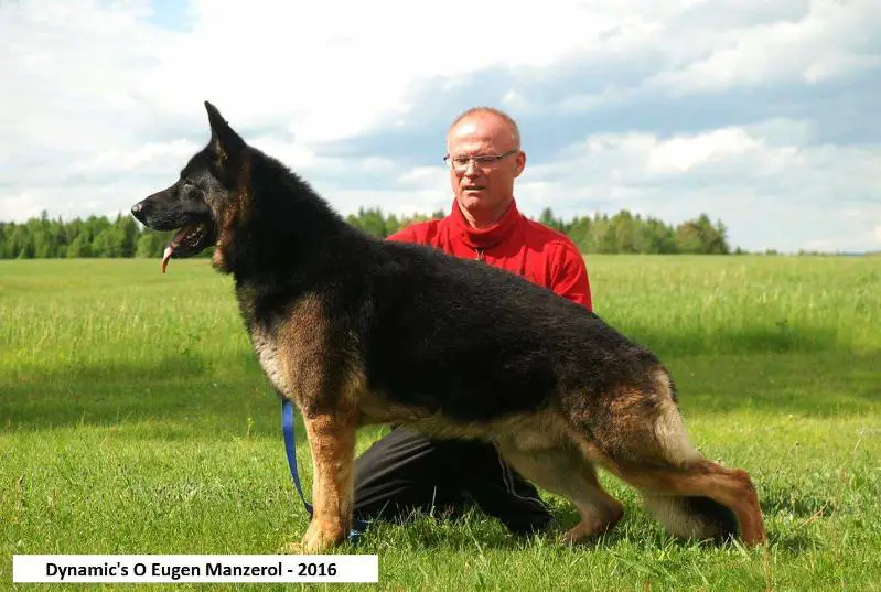 (CH) CAN Dynamic's O Eugen Manzerol