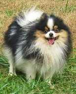 Sunnies Rocky Road Is Here at Ponderosa