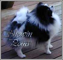 Showins Black in the Saddle