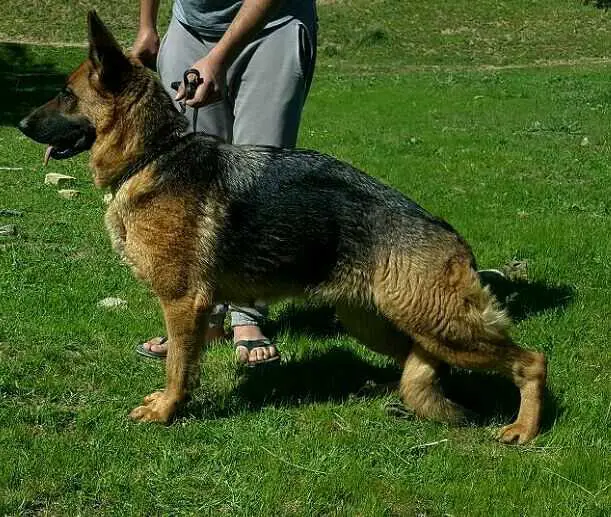 Lola von Vishenhoff