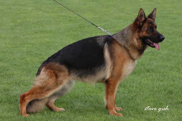 V Aike TEAM Gigelsfelsen