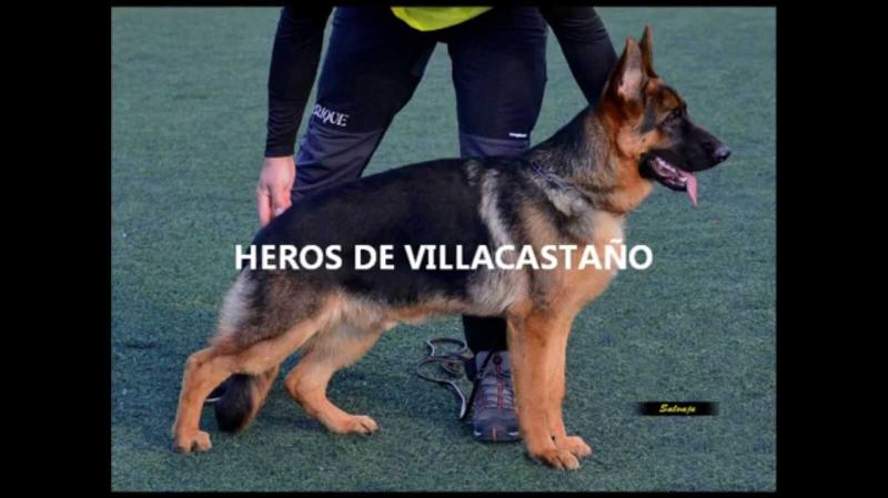MB-1 Heros De Villacastaño