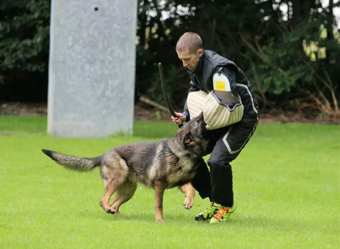 V Daya v.d. Hornhütte