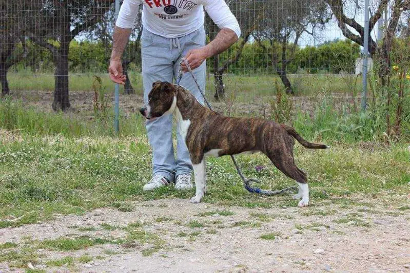 Grace kelly Del Jinko's Salentino