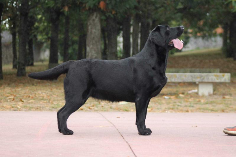 Diamonds are Forever z Grodu Hrabiego Malmesbury