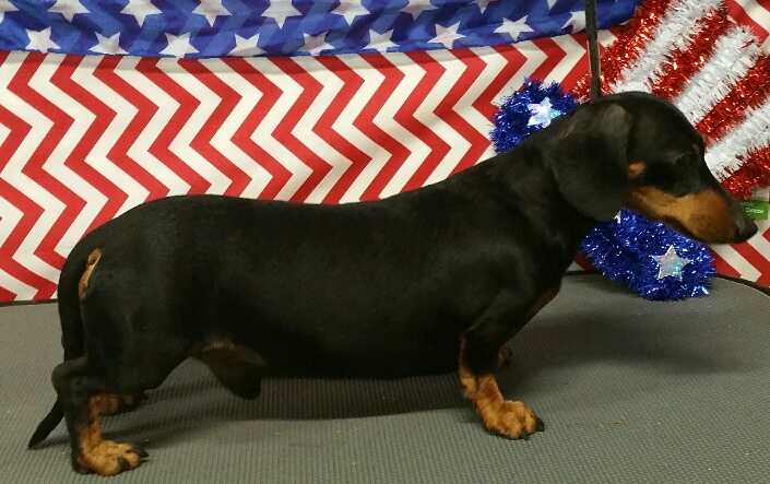 Walk The Line's It Ain't Me