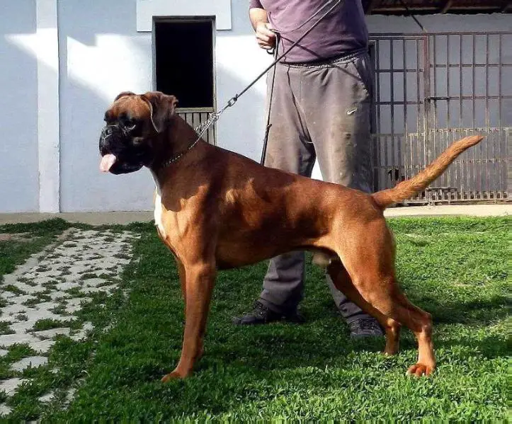 Marchelo Possidentes