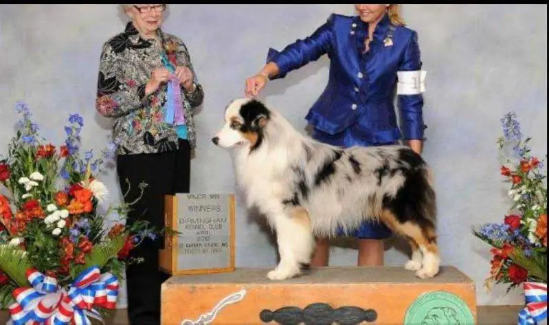 Onthehills Light My Fire At Kiawah