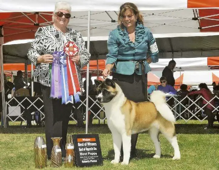 BIS AKC CH Crown Royals Lucy In The Sky