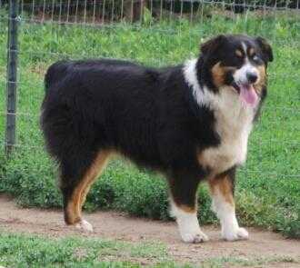 Fifteen Acre Farms Landry